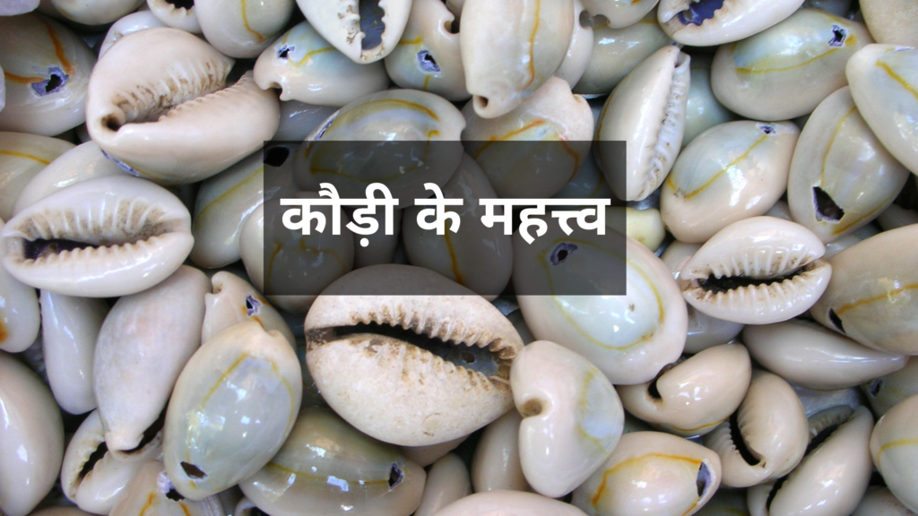 cowrie