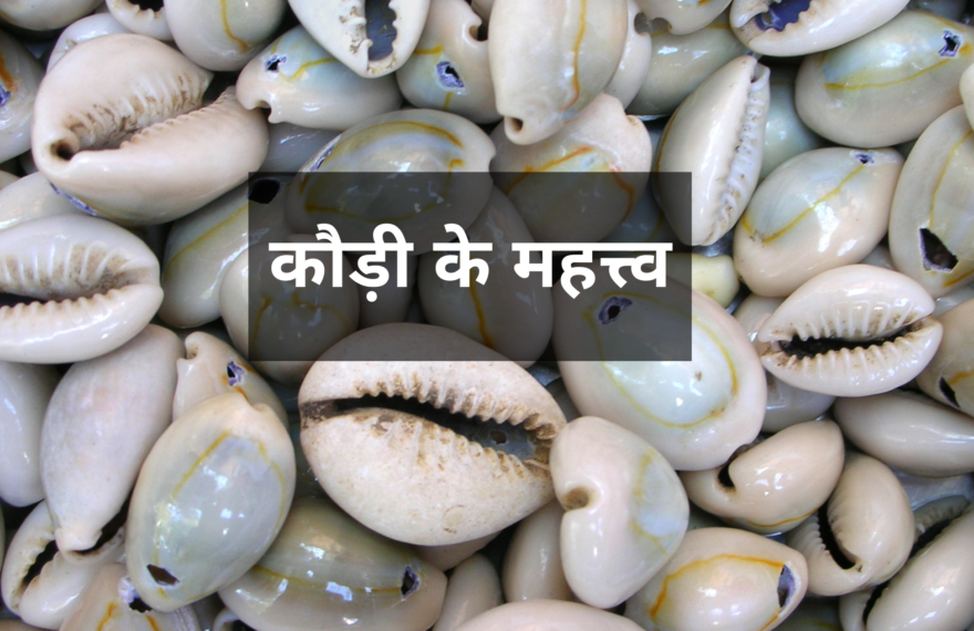 cowrie